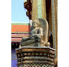 Thai 42